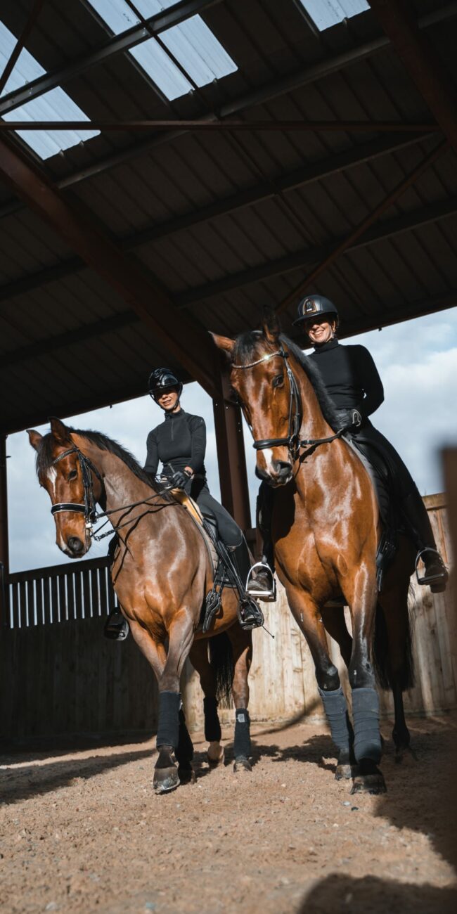 Ecurie Dardenne cours, stage et pensions pour chevaux au coeur de l'Occitanie, entre Toulouse et Carcassonne