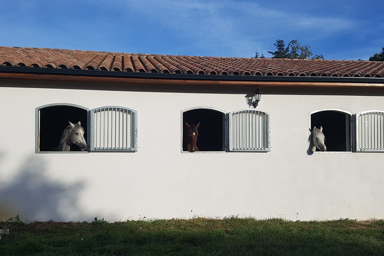 Ecurie Dardenne, boxs vus de l'extérieur, pensions pour chevaux au coeur de l'Occitanie.