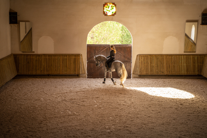 Ecurie Dardenne, vue du manège ; cours, stage et pensions pour chevaux au coeur de l'Occitanie, entre Toulouse et Carcassonne