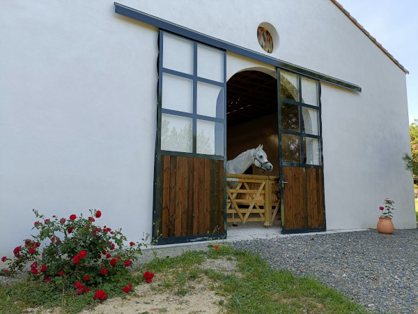 Ecurie Dardenne, manège vu de l'extérieur à Greffeil : cours, stage et pensions pour chevaux au coeur de l'Occitanie, proche de Carcassonne